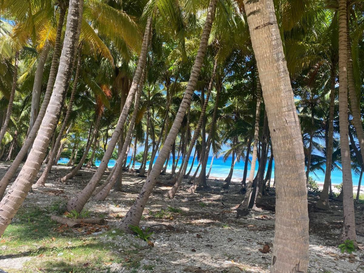 Beachfront Apartment, Quiet 4 Beds, 1 Bath, Ac, Wi-Fi, Hot Water, In Paraiso Near Los Patos エクステリア 写真