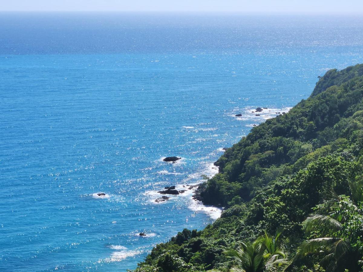 Beachfront Apartment, Quiet 4 Beds, 1 Bath, Ac, Wi-Fi, Hot Water, In Paraiso Near Los Patos エクステリア 写真