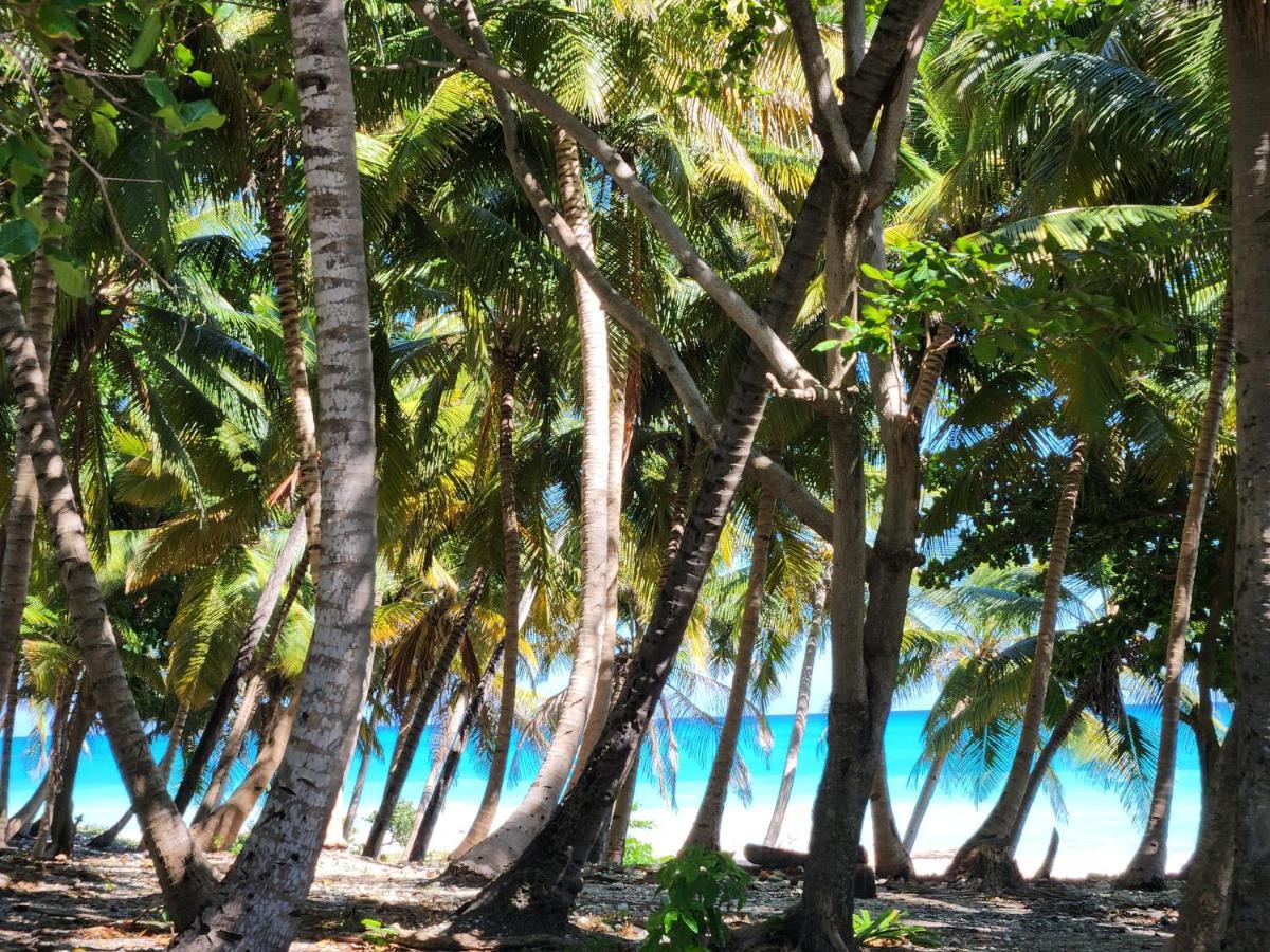 Beachfront Apartment, Quiet 4 Beds, 1 Bath, Ac, Wi-Fi, Hot Water, In Paraiso Near Los Patos エクステリア 写真