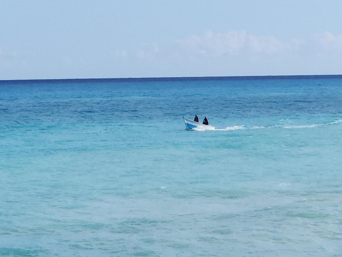 Beachfront Apartment, Quiet 4 Beds, 1 Bath, Ac, Wi-Fi, Hot Water, In Paraiso Near Los Patos エクステリア 写真