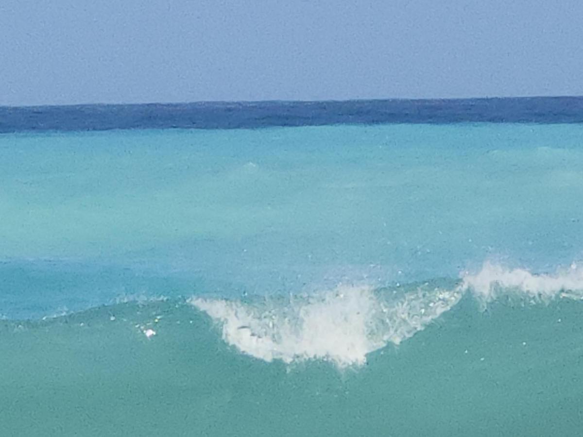 Beachfront Apartment, Quiet 4 Beds, 1 Bath, Ac, Wi-Fi, Hot Water, In Paraiso Near Los Patos エクステリア 写真
