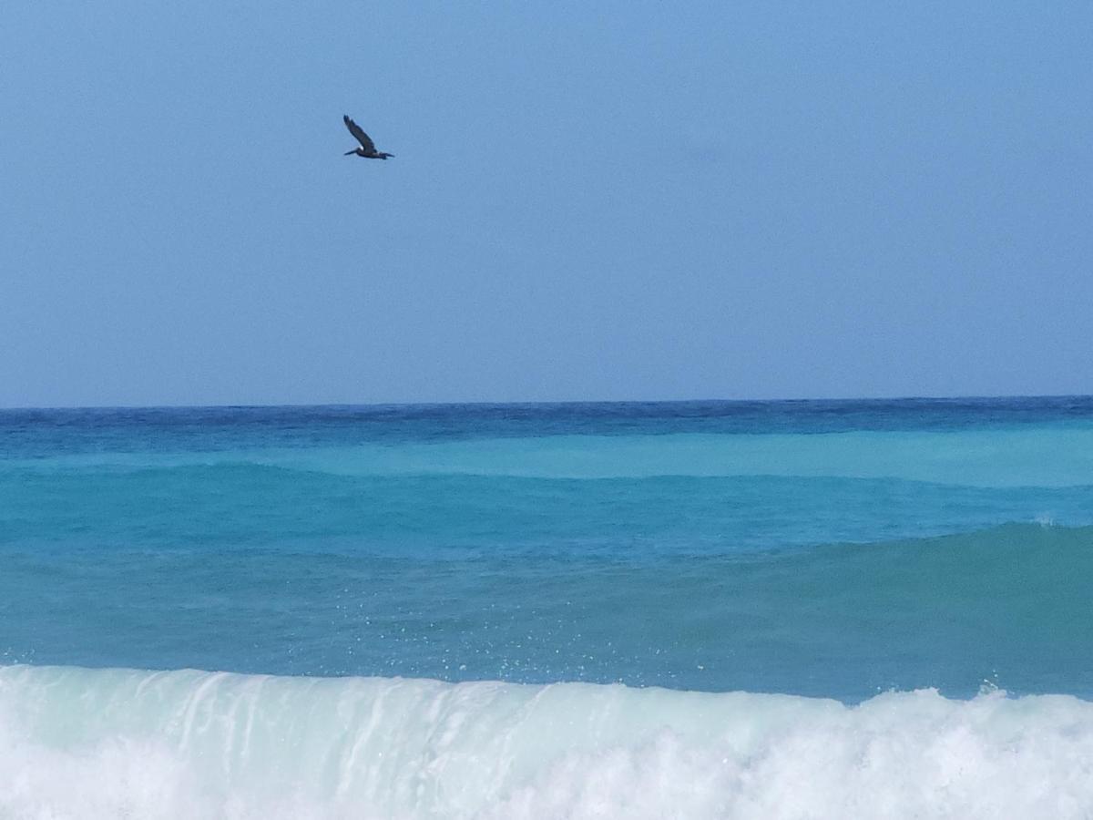 Beachfront Apartment, Quiet 4 Beds, 1 Bath, Ac, Wi-Fi, Hot Water, In Paraiso Near Los Patos エクステリア 写真